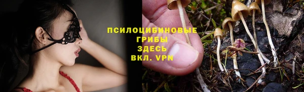 гидра Армянск