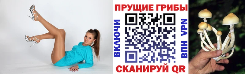 shop наркотические препараты  Тара  Псилоцибиновые грибы мицелий  купить наркотики сайты 